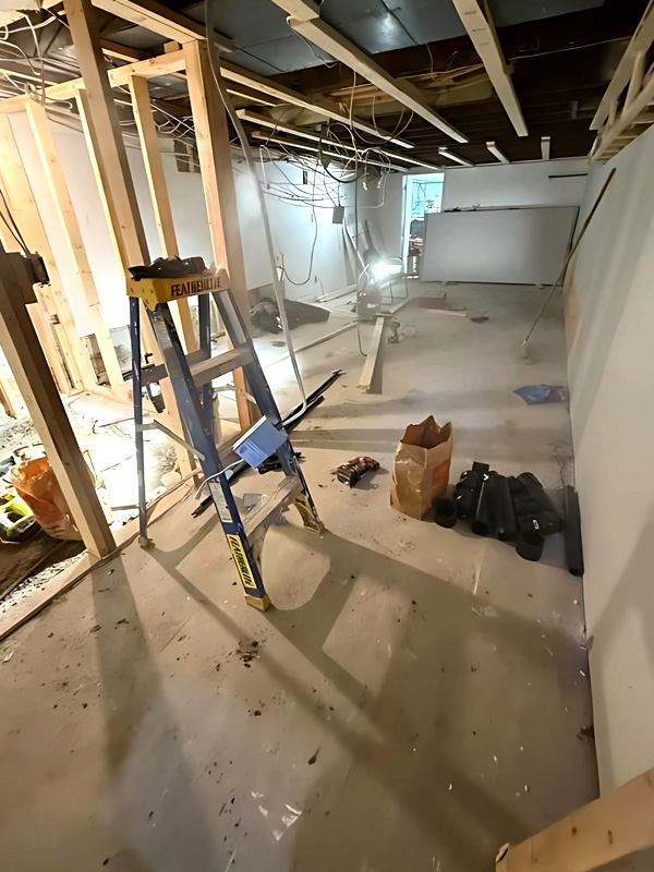 Basement Renovation - before